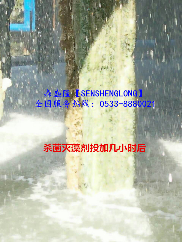 殺菌滅藻劑SM305殺菌高效適用廣譜